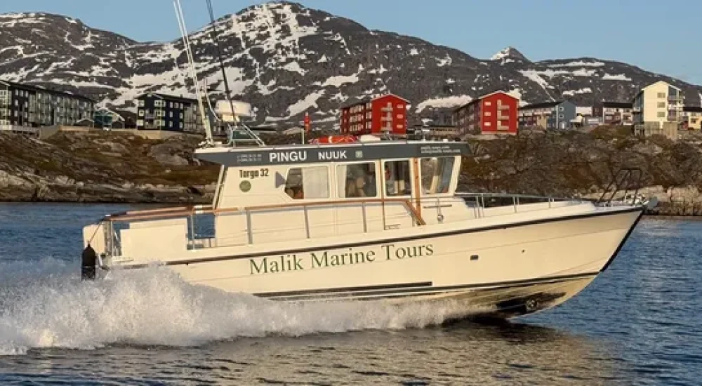 Malik Marine boat